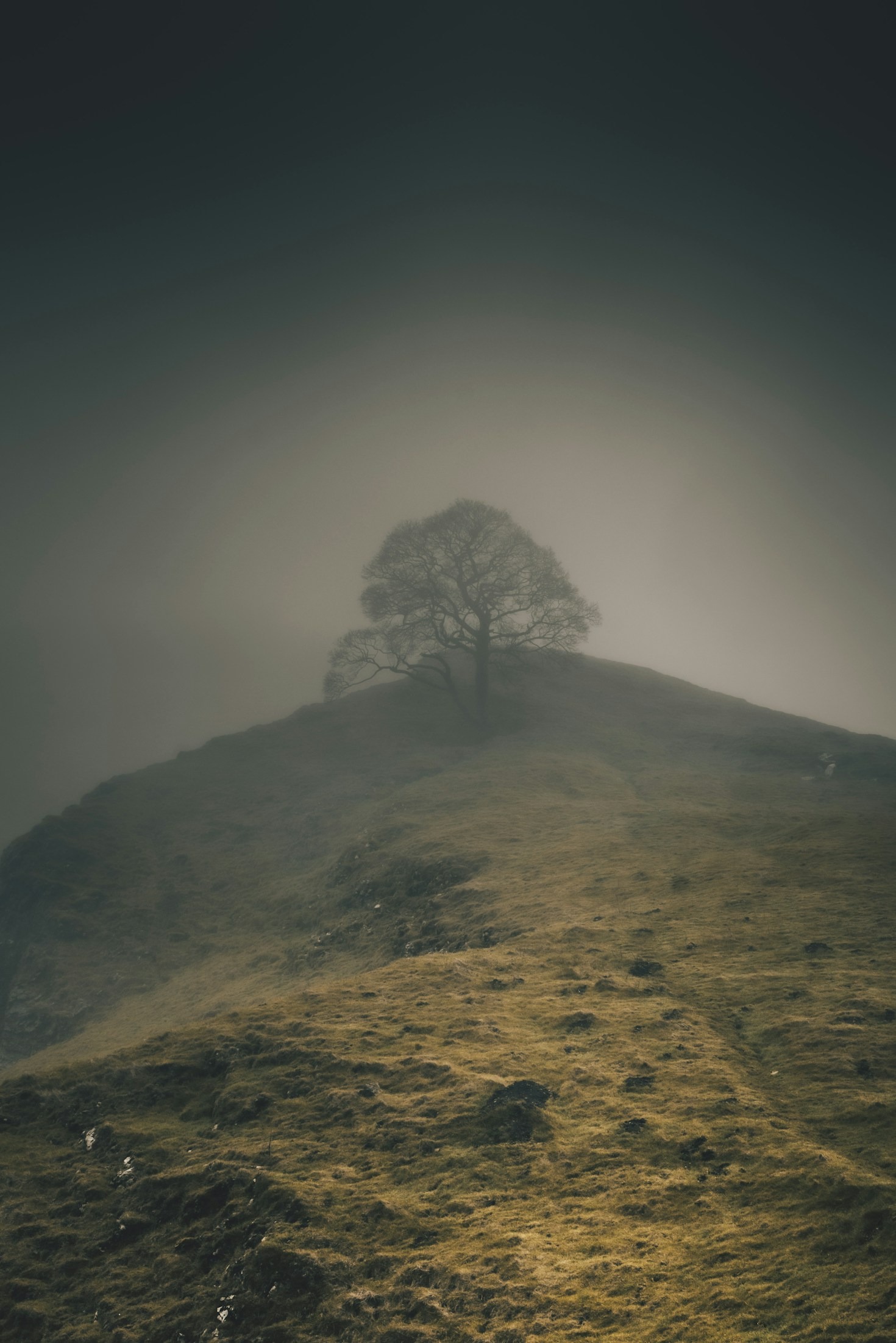 Exploring the Hidden Layers of the Planet